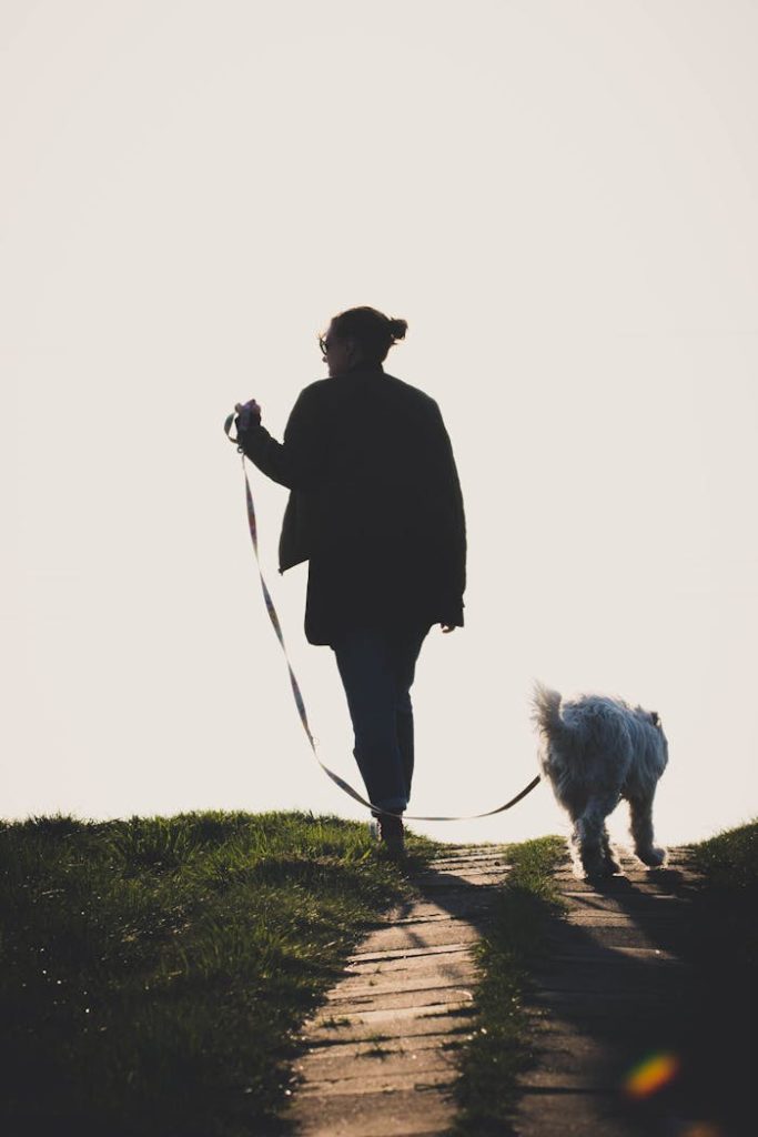 Silhouette of a woman walking a fluffy dog on a paved pathway during daylight.